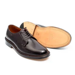 Alden Colour 8 Cordovan Plain Toe Blucher 990