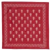 Der Sammler Bandana Parachute Red