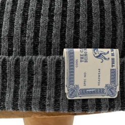 H.W. Dog Rib Smart Knit Cap Grey